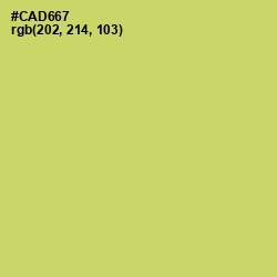 #CAD667 - Tacha Color Image