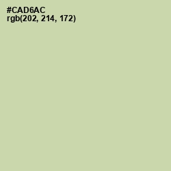 #CAD6AC - Green Mist Color Image