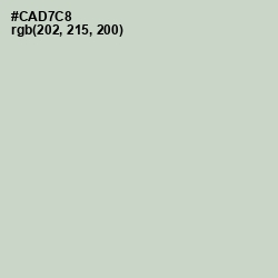#CAD7C8 - Sea Mist Color Image