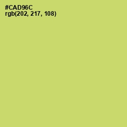 #CAD96C - Chenin Color Image