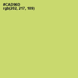 #CAD96D - Chenin Color Image