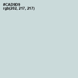 #CAD9D9 - Nebula Color Image
