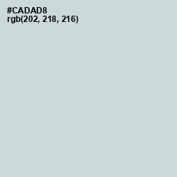 #CADAD8 - Nebula Color Image