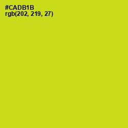 #CADB1B - Bird Flower Color Image