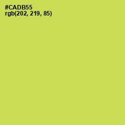 #CADB55 - Wattle Color Image
