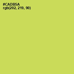 #CADB5A - Wattle Color Image