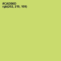 #CADB6D - Chenin Color Image