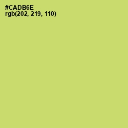 #CADB6E - Chenin Color Image