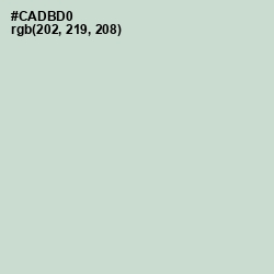 #CADBD0 - Conch Color Image