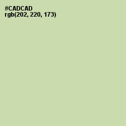#CADCAD - Green Mist Color Image