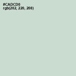 #CADCD0 - Conch Color Image