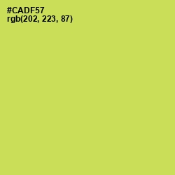 #CADF57 - Wattle Color Image