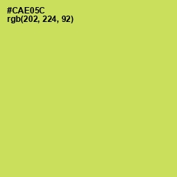 #CAE05C - Wattle Color Image
