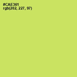#CAE361 - Yellow Green Color Image