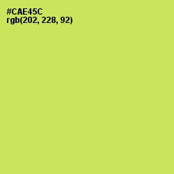 #CAE45C - Wattle Color Image