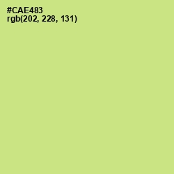 #CAE483 - Deco Color Image