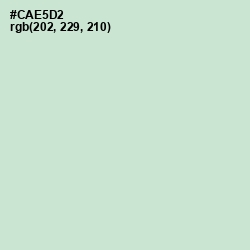 #CAE5D2 - Surf Crest Color Image