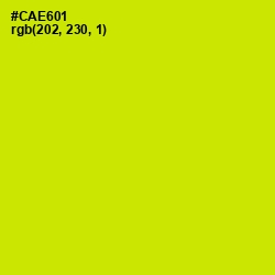 #CAE601 - Bitter Lemon Color Image