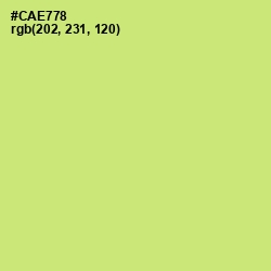 #CAE778 - Yellow Green Color Image