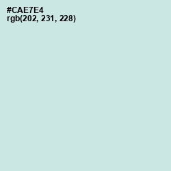 #CAE7E4 - Jagged Ice Color Image