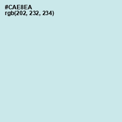 #CAE8EA - Jagged Ice Color Image