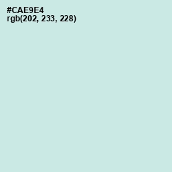 #CAE9E4 - Jagged Ice Color Image