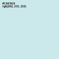 #CAE9E8 - Jagged Ice Color Image