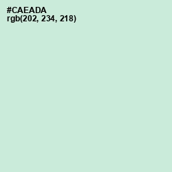 #CAEADA - Skeptic Color Image