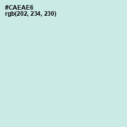 #CAEAE6 - Jagged Ice Color Image