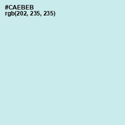 #CAEBEB - Jagged Ice Color Image