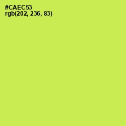 #CAEC53 - Wattle Color Image