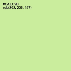 #CAEC9D - Reef Color Image