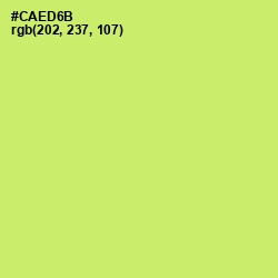 #CAED6B - Sulu Color Image