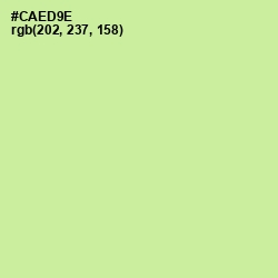 #CAED9E - Reef Color Image