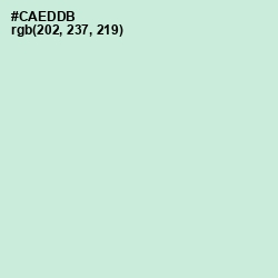 #CAEDDB - Skeptic Color Image