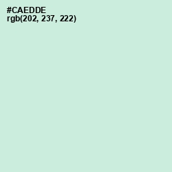 #CAEDDE - Skeptic Color Image