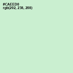 #CAEED0 - Surf Crest Color Image