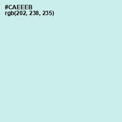 #CAEEEB - Jagged Ice Color Image