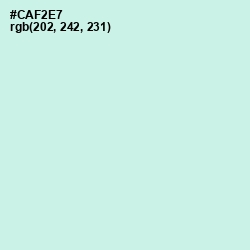 #CAF2E7 - Mint Tulip Color Image