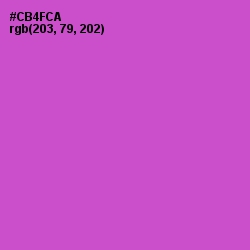 #CB4FCA - Fuchsia Pink Color Image