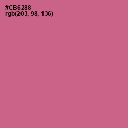 #CB6288 - Charm Color Image