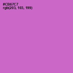 #CB67C7 - Orchid Color Image