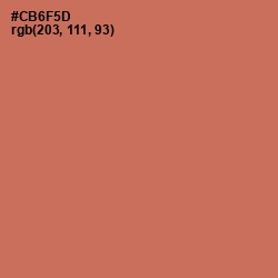#CB6F5D - Raw Sienna Color Image