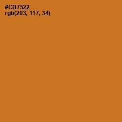 #CB7522 - Ochre Color Image