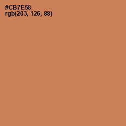 #CB7E58 - Raw Sienna Color Image