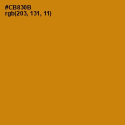 #CB830B - Pizza Color Image