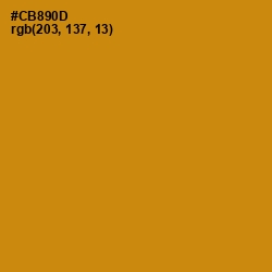 #CB890D - Pizza Color Image