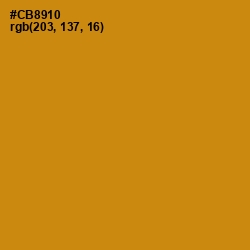 #CB8910 - Pizza Color Image