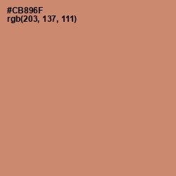 #CB896F - Antique Brass Color Image