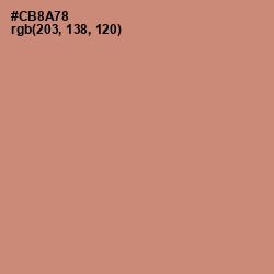 #CB8A78 - New York Pink Color Image